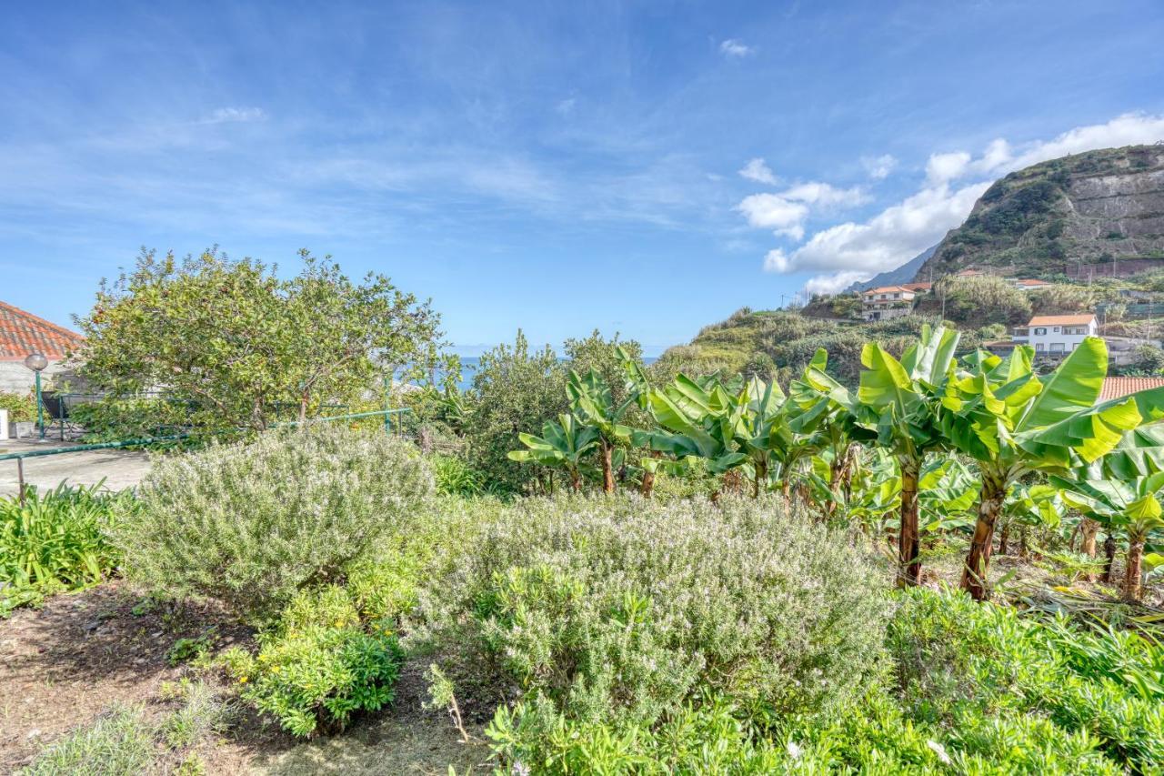 Quinta Da Vila Porto Da Cruz Eksteriør billede