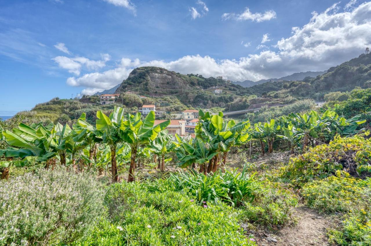 Quinta Da Vila Porto Da Cruz Eksteriør billede