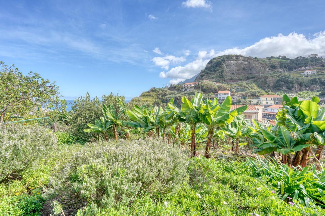 Quinta Da Vila Porto Da Cruz Eksteriør billede